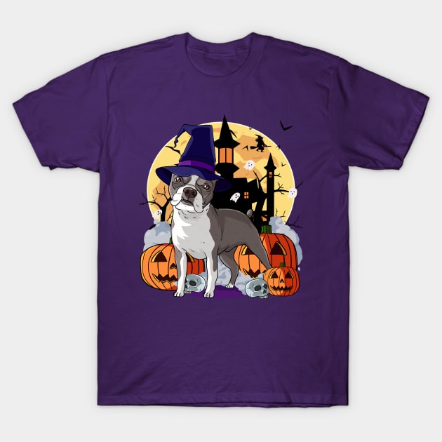 Boston Terrier Scary Halloween Witch Pumpkin T-Shirt by Noseking